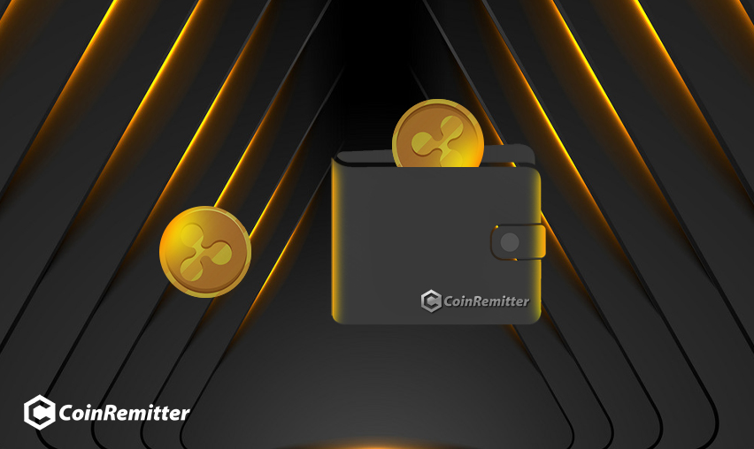 crypto currency wallet of coinremitter