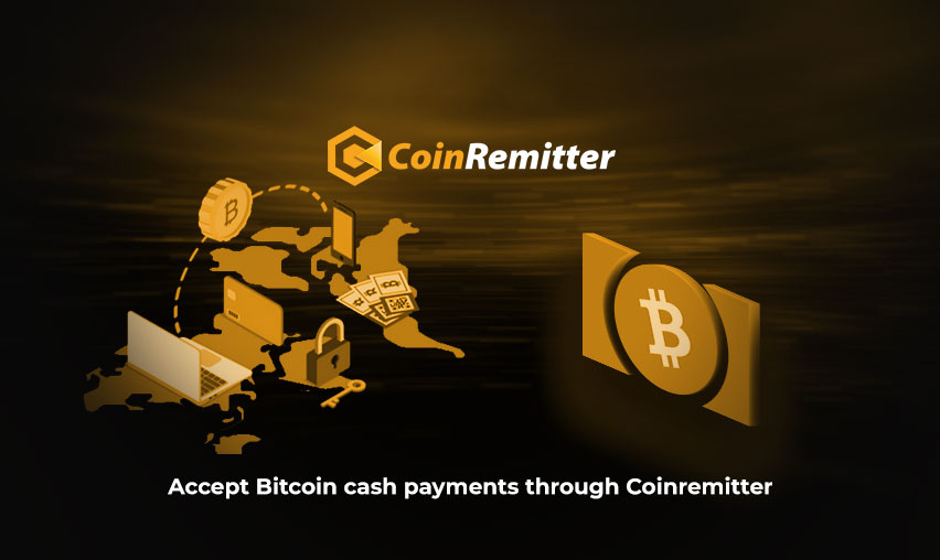 Accept Bitcoin cash payments  through Coinremitter