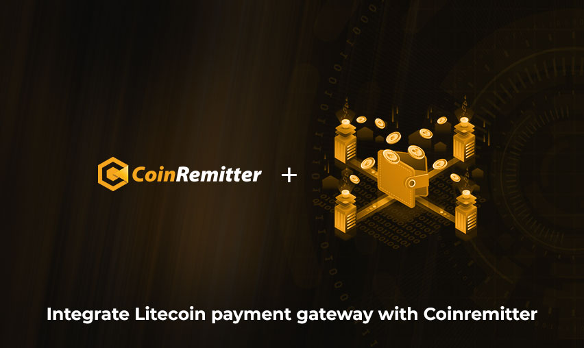 how to accept litecoin payments. integrate litecoin payment gateway with coinremitter.