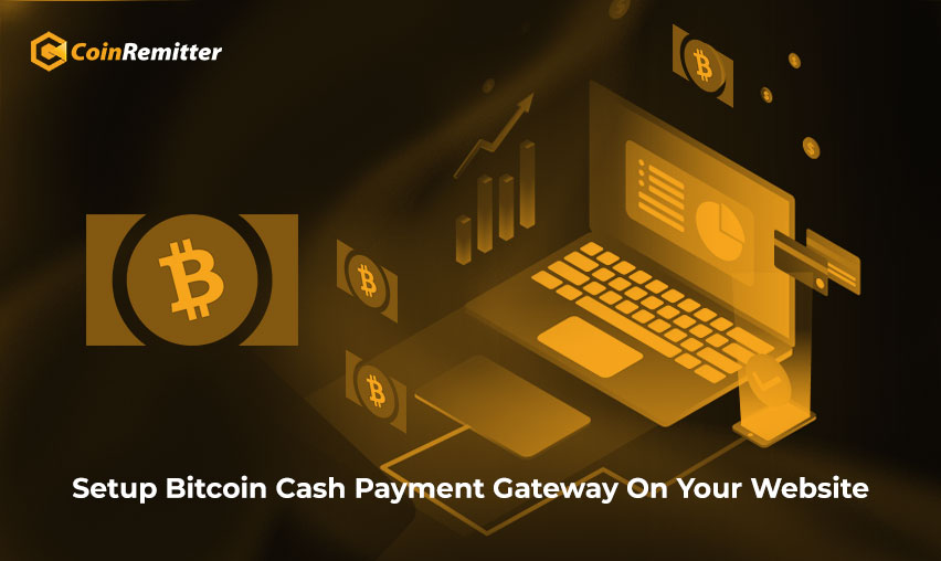setup bitcoin cash payment gateway on your website