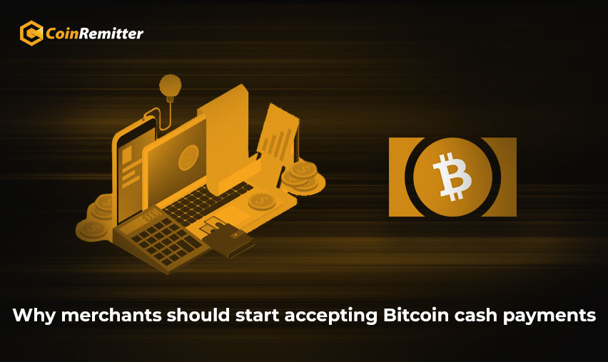 accept bitcoin cash payments