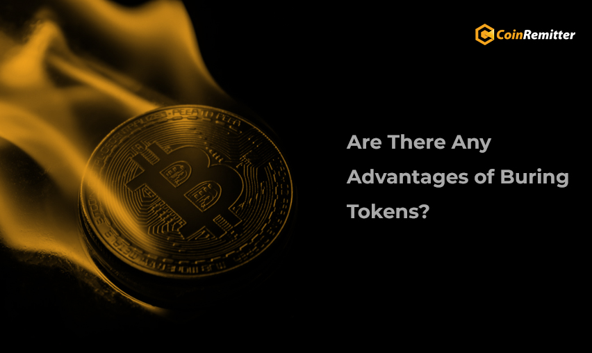 Are There Any Advantages of Buring Tokens