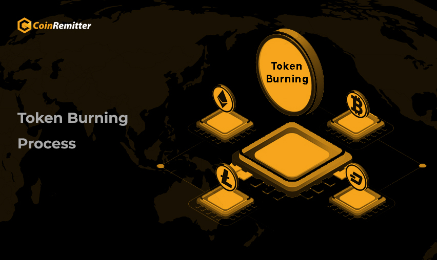 Token Burning Process