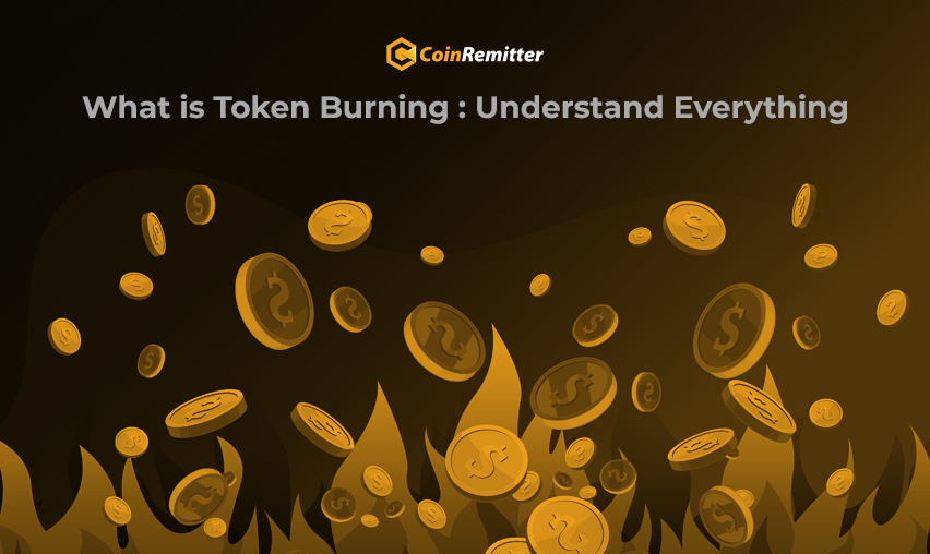 What is Token Burning Understand Everything