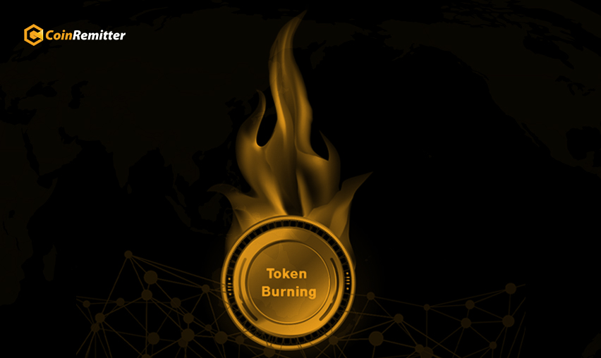 What is Token Burning