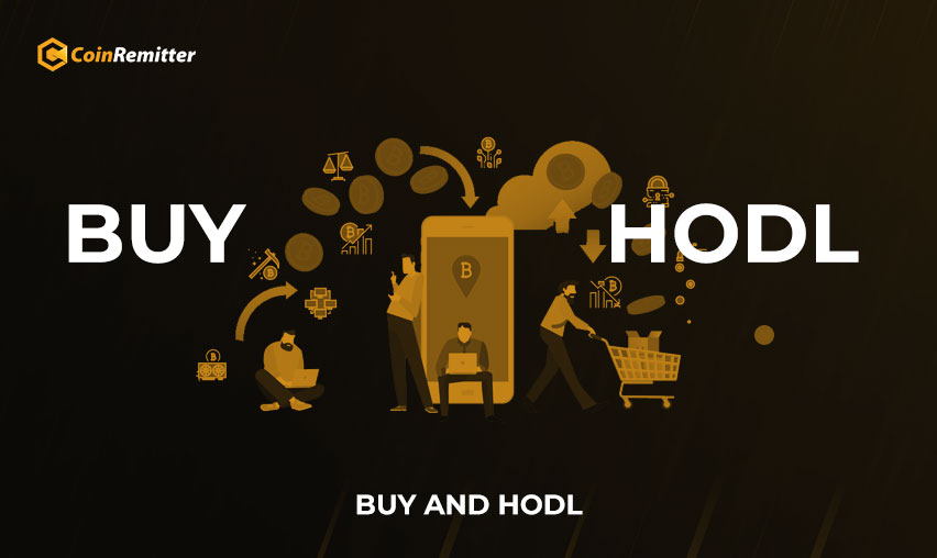 buy and hodl