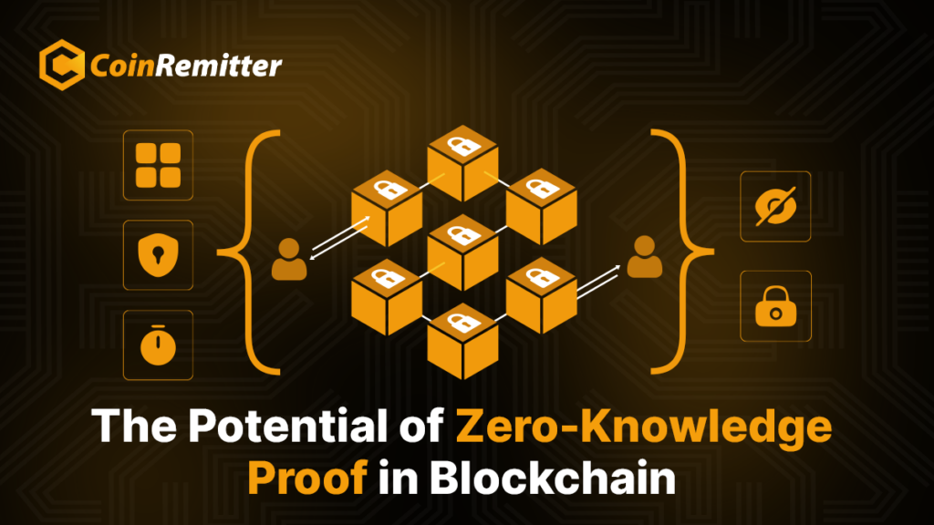 Zero-Knowledge Proof in Blockchain