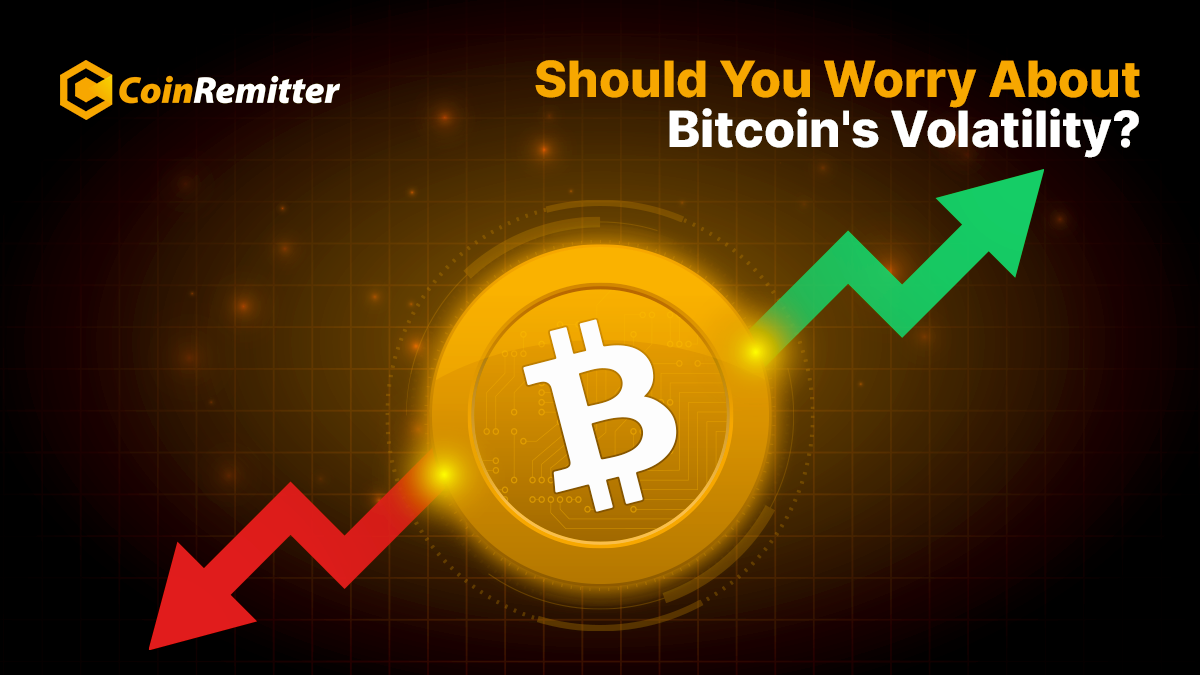 Bitcoin Price Volatility