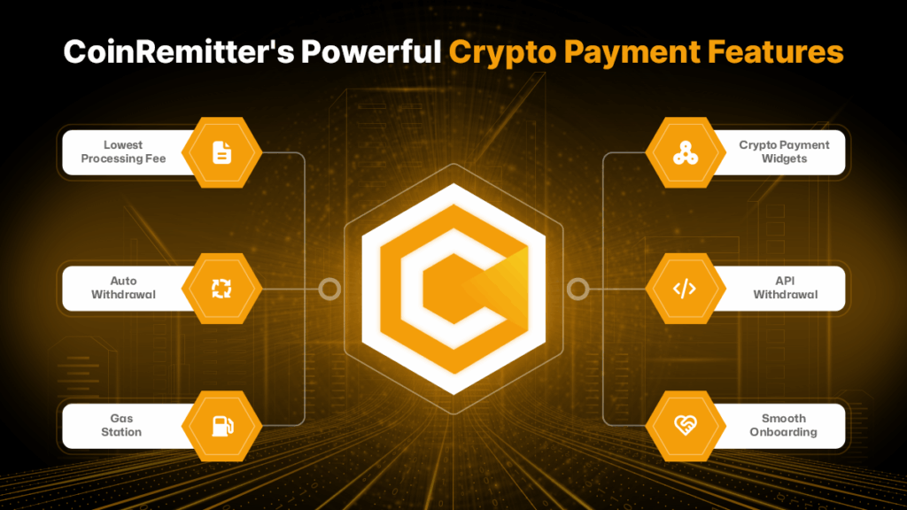 Crypto Payments with CoinRemitter So Far