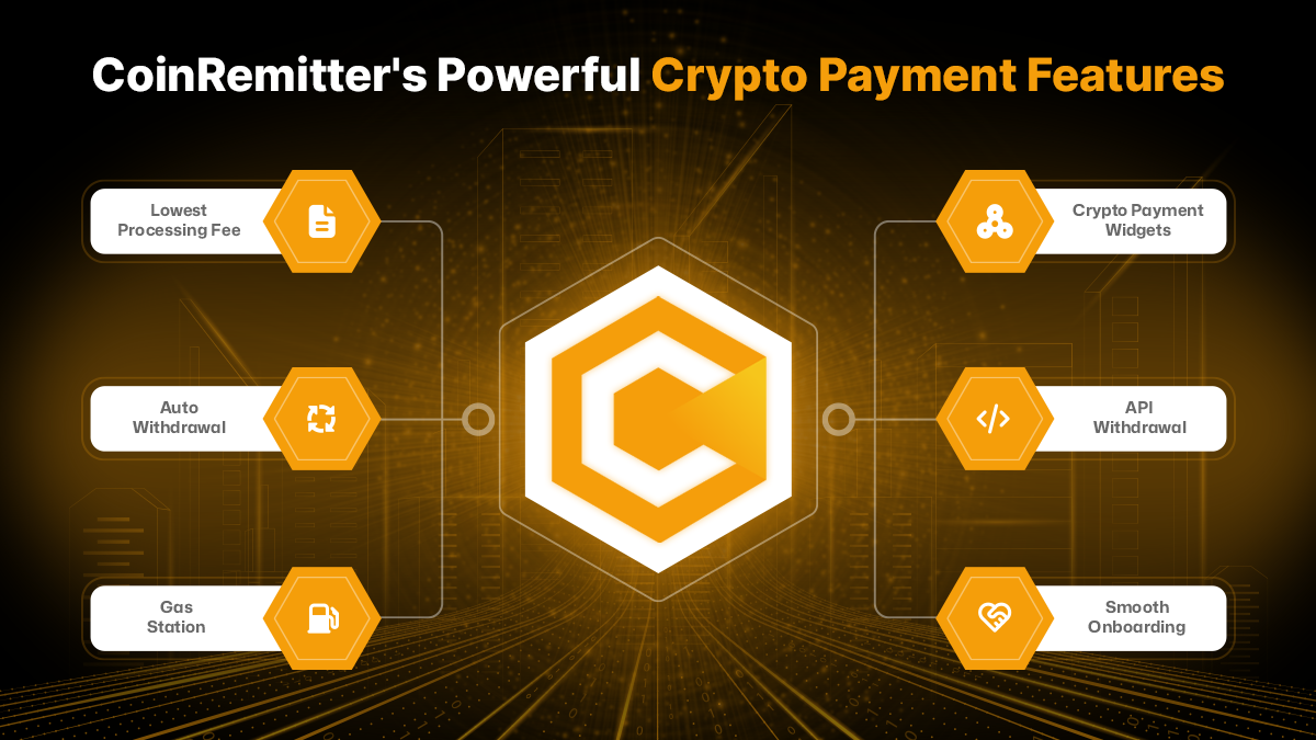 Crypto Payments with CoinRemitter So Far