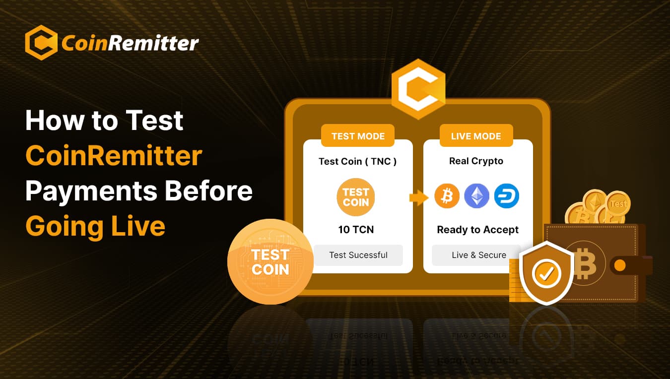 How to test Coinremitter cryptocurrency payments